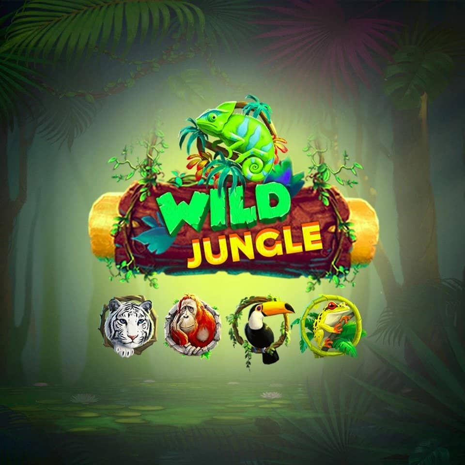 H2bet login entrar