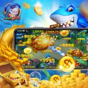 xbet